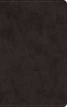 ESV Giant Print Value Personal Size Bible (TruTone, Black)