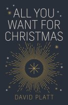 All You Want For Christmas