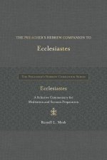 Preacher's Hebrew Companion to Ecclesiastes