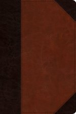 ESV Reader's Bible (TruTone, Brown/Cordovan, Portfolio Design)