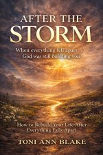 After The Storm: How to Rebuild Your life after everything falls apart