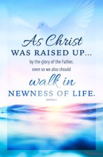 Bulletin-Walk In Newness Of Life (Romans 6:4) (Pack Of 100)