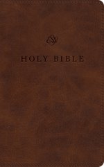 ESV Premium Church Bible, Large Print, Red Letter (TruTone, Brown)