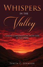 Whispers in the Valley: Candid Conversations with God in the Dark