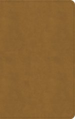 KJV Personal Size Bible, Camel Suedesoft