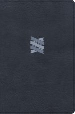 CSB Connecting Scripture New Testament, Slate Leathertouch