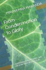 From Condemnation to Glory: Justification, Union, Conflict, and Life in the Spirit (Romans 5-8)