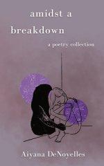 Amidst a Breakdown: A Poetry Collection
