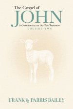 The Gospel of John A Commentary on the New Testament Volume 2