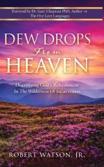 DEW DROPS From HEAVEN: Discovering God's Refreshment In The Wilderness Of Incarceration
