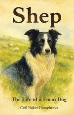 Shep: The Life of a Farm Dog