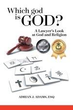 Which god is God?: A Lawyer's Look at God and Religion