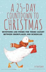 A 25-Day Countdown to Christmas: Devotions and Poems for Those Caught Between Snowflakes and Schedules