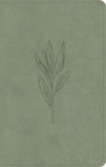 CSB Personal Size Bible, Sage Suedesoft
