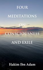 Four Meditations on Consciousness and Exile