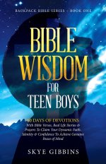 BIBLE WISDOM FOR TEEN BOYS: BACKPACK BIBLE SERIES - BOOK ONE