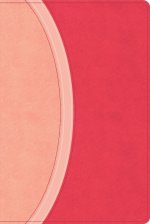 CSB Rainbow Study Bible, Pink Leathertouch (Limited Edition)