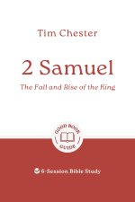2 Samuel: The Fall and Rise of the King