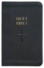 Holy Bible, NRSVue with Apocrypha, Personal Edition