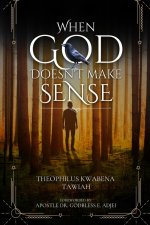 WHEN GOD DOESN'T MAKE SENSE