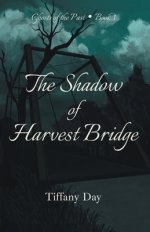The Shadow of Harvest Bridge