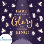 Herald Angels Charity Christmas Cards Pack of 10 (Compassion)