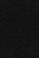 NIV, Quest Study Bible, Large Print, Bonded Leather, Black, Thumb Indexed, Comfort Print