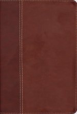 NIV, Cultural Backgrounds Study Bible (Context Changes Everything), Leathersoft, Brown, Red Letter