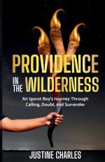Providence In The Wilderness