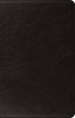 ESV Large Print Thinline Bible (Genuine Leather, Black)