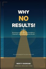 WHY NO RESULT!: Returning to God's Order for Fruitfulness, Dominion, and Lasting Kingdom Results