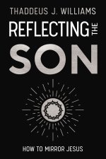 Reflecting the Son