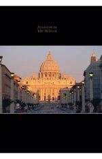 Assassin in The Vatican