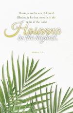 Palm Sunday Bulletin: Cometh in the Name (Package of 100)