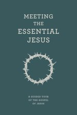 Meeting the Essential Jesus: A guided tour of the Gospel of Jesus