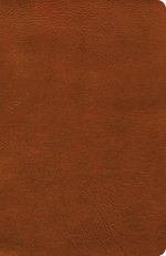 NASB Verse-by-Verse Reference Bible, Burnt Sienna