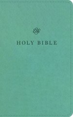 ESV Premium Church Bible (TruTone, Paris Sky)