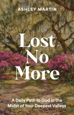 Lost No More: A Daily Path to God in the Midst of Your Deepest Valleys