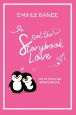Not The Storybook Love: Love The Biblical Way Without Losing You