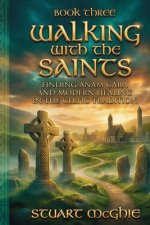 Walking With The Saints : Finding Anam Cara and Modern Healing in the Celtic Tradition