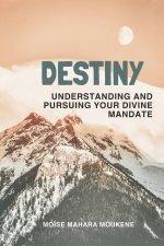 DESTINY: Understanding and pursuing your divine mandate