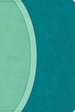CSB Rainbow Study Bible, Teal Leathertouch (Limited Edition)