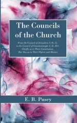 The Councils of the Church: From the Council of Jerusalem A. D. 51, to the Council of Constantinople A. D. 381; Chiefly as to Their Constitution, But