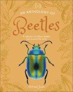 Anthology Of Beetles