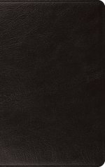 ESV Large Print Thinline Bible (Genuine Leather, Black)