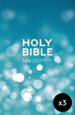 NIV Popular Pew Bible – Pack of 60 Blue Hardbacks for Churches and Groups