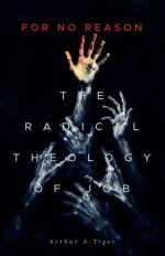 For No Reason: The Radical Theology of Job and What It Reveals About Suffering, Grief, and the Silence of God