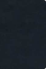 ESV Value Compact Bible (TruTone, Navy)