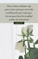 Funeral Bulletin: I Give Unto You (Package of 100)
