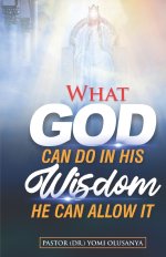 What God can Do in His Wisdom: He can allow it